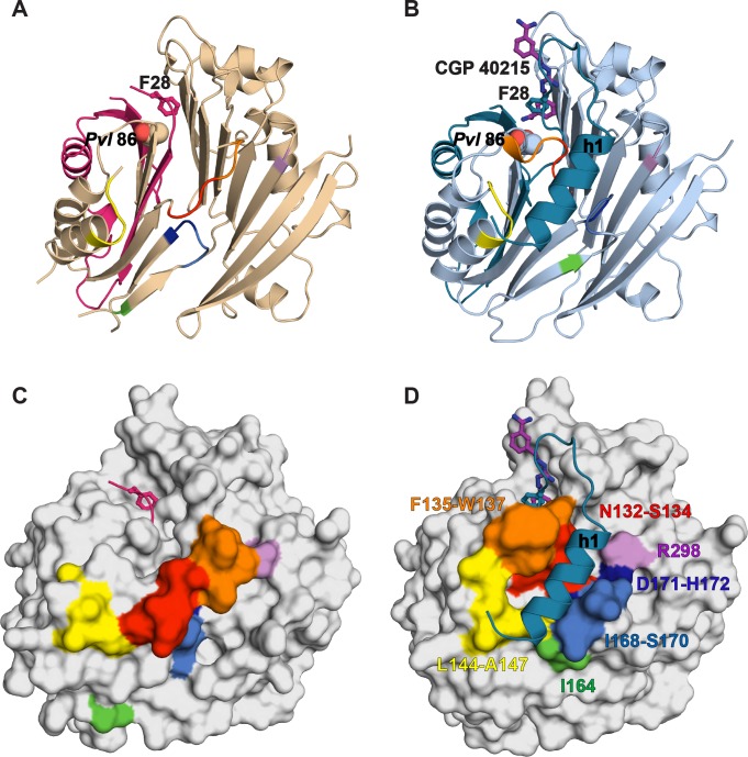 Figure 4—figure supplement 2.