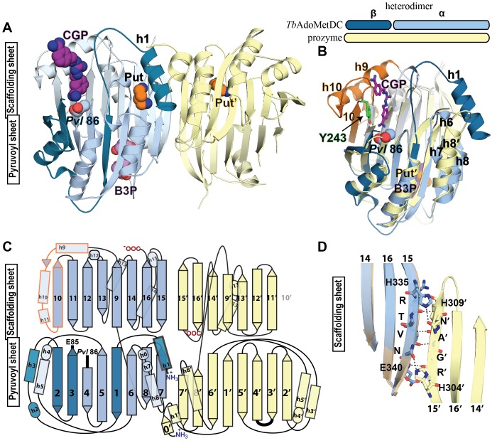 Figure 3.