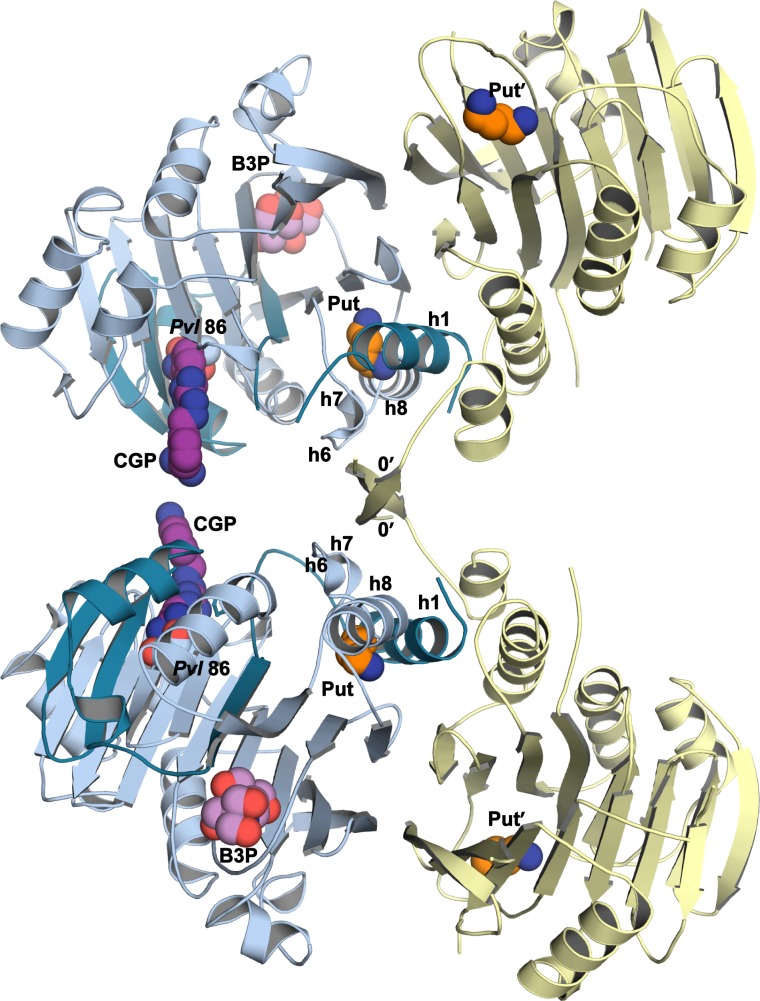 Figure 3—figure supplement 1.