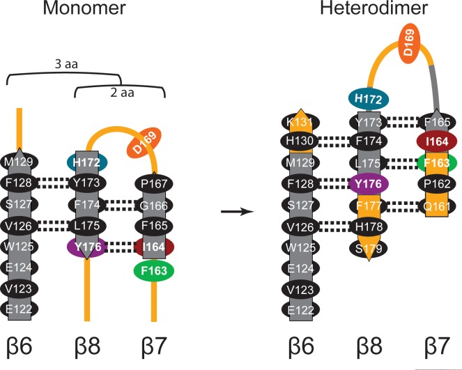 Figure 4—figure supplement 1.