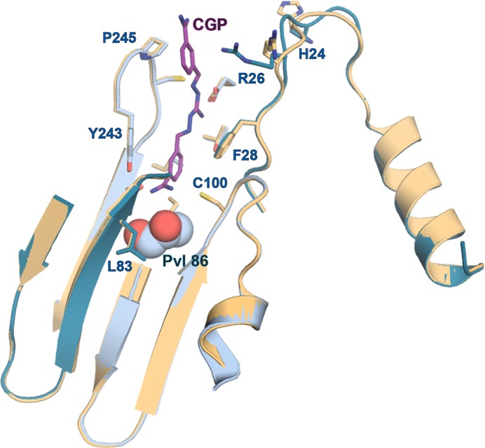 Figure 6—figure supplement 2.