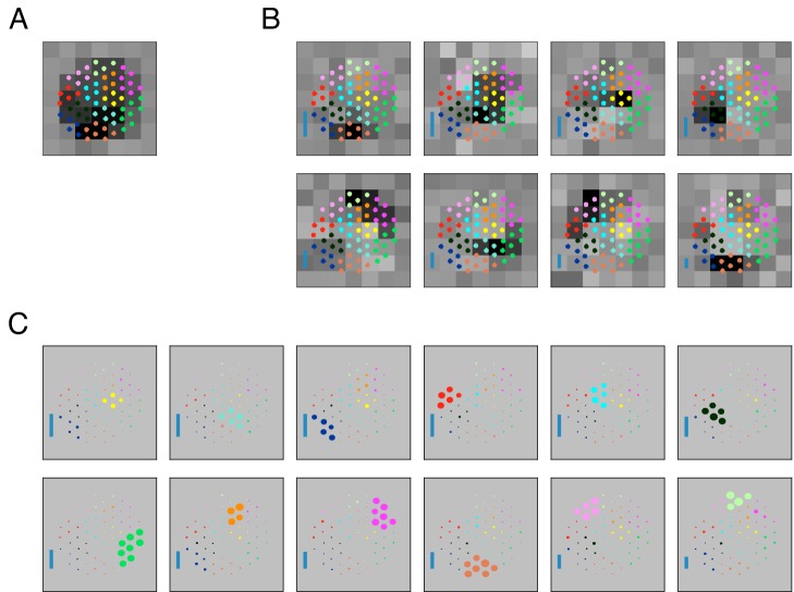 Figure 1—figure supplement 1.