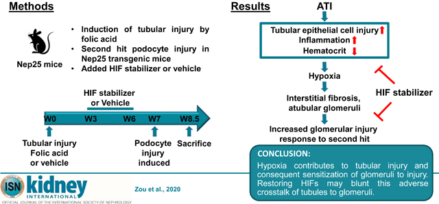 graphic file with name nihms-1644757-f0010.jpg