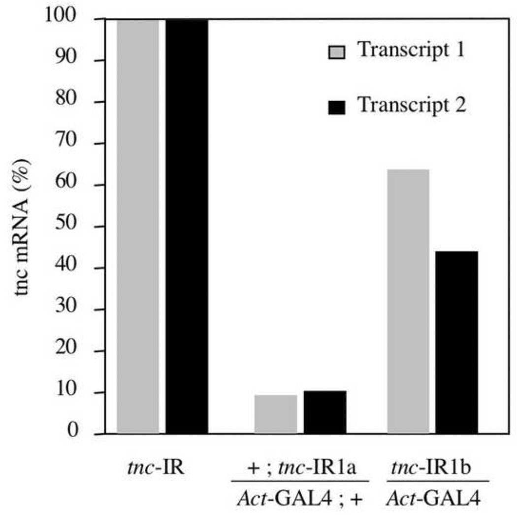 Fig. 5