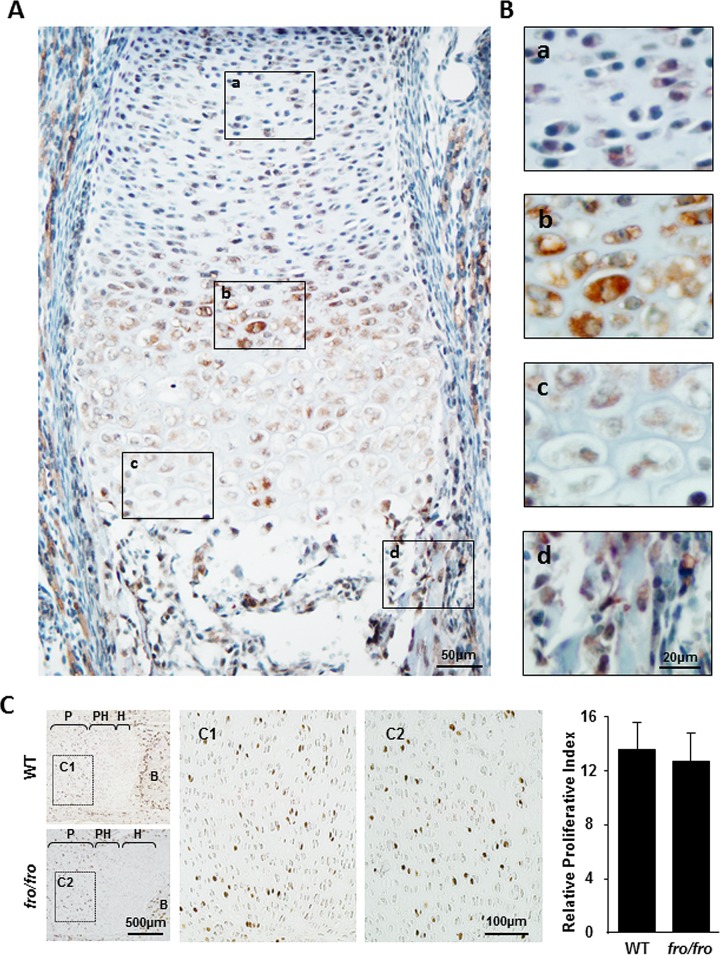 FIG 3