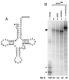 FIG. 6
