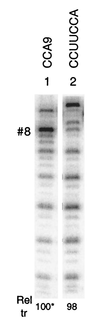 FIG. 7