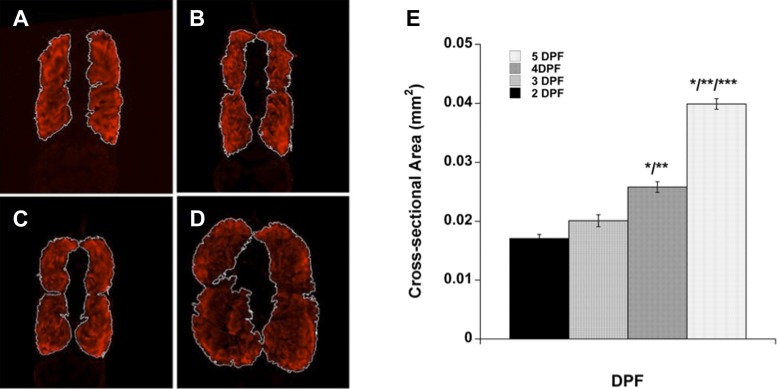 Fig. 3.