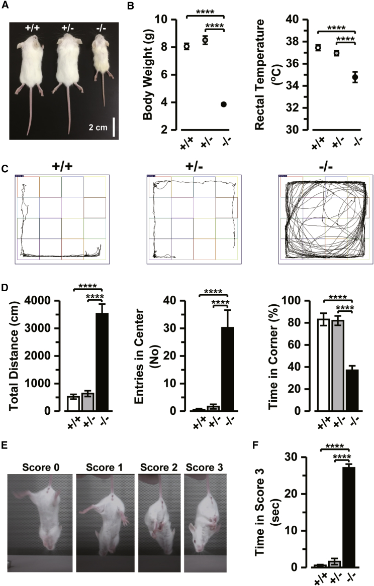 Figure 3