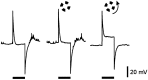 Fig. 5.