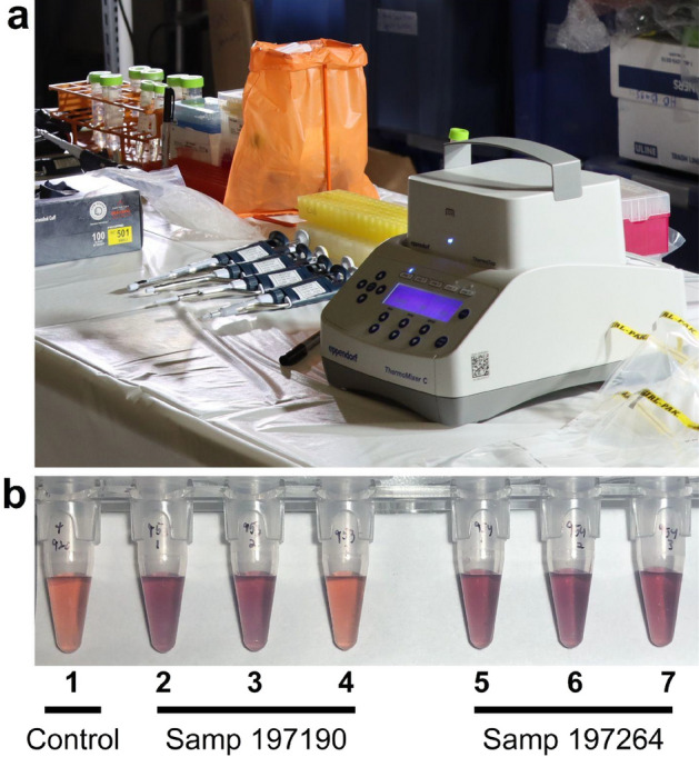 Figure 5