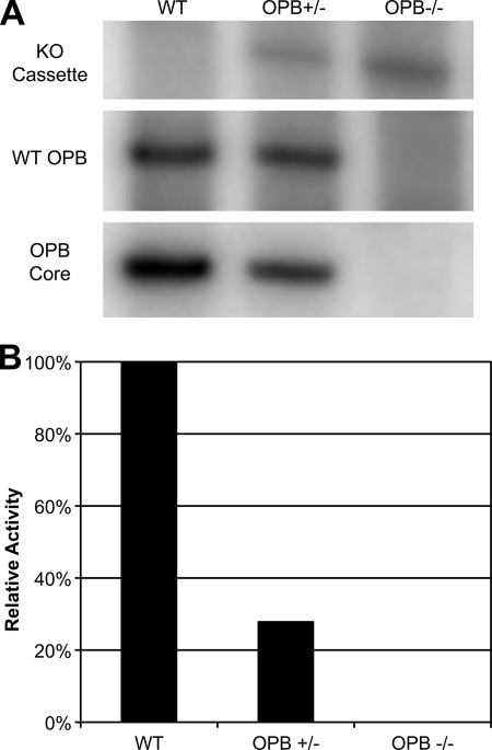 FIGURE 5.