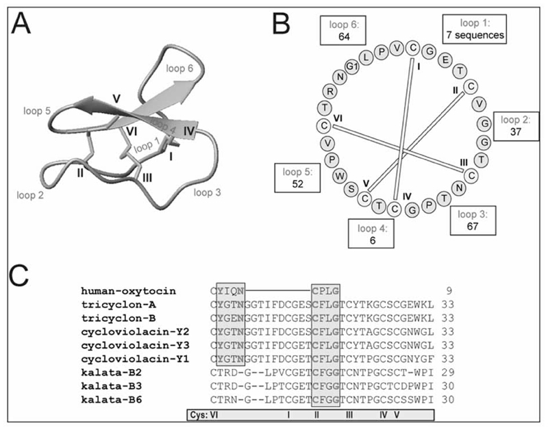 Fig. (4)