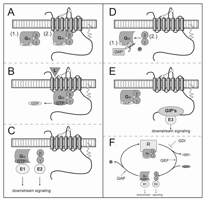 Fig. (1)