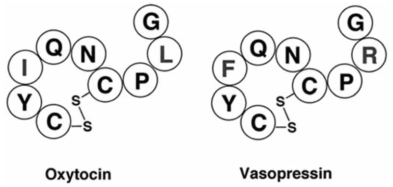 Fig. (5)