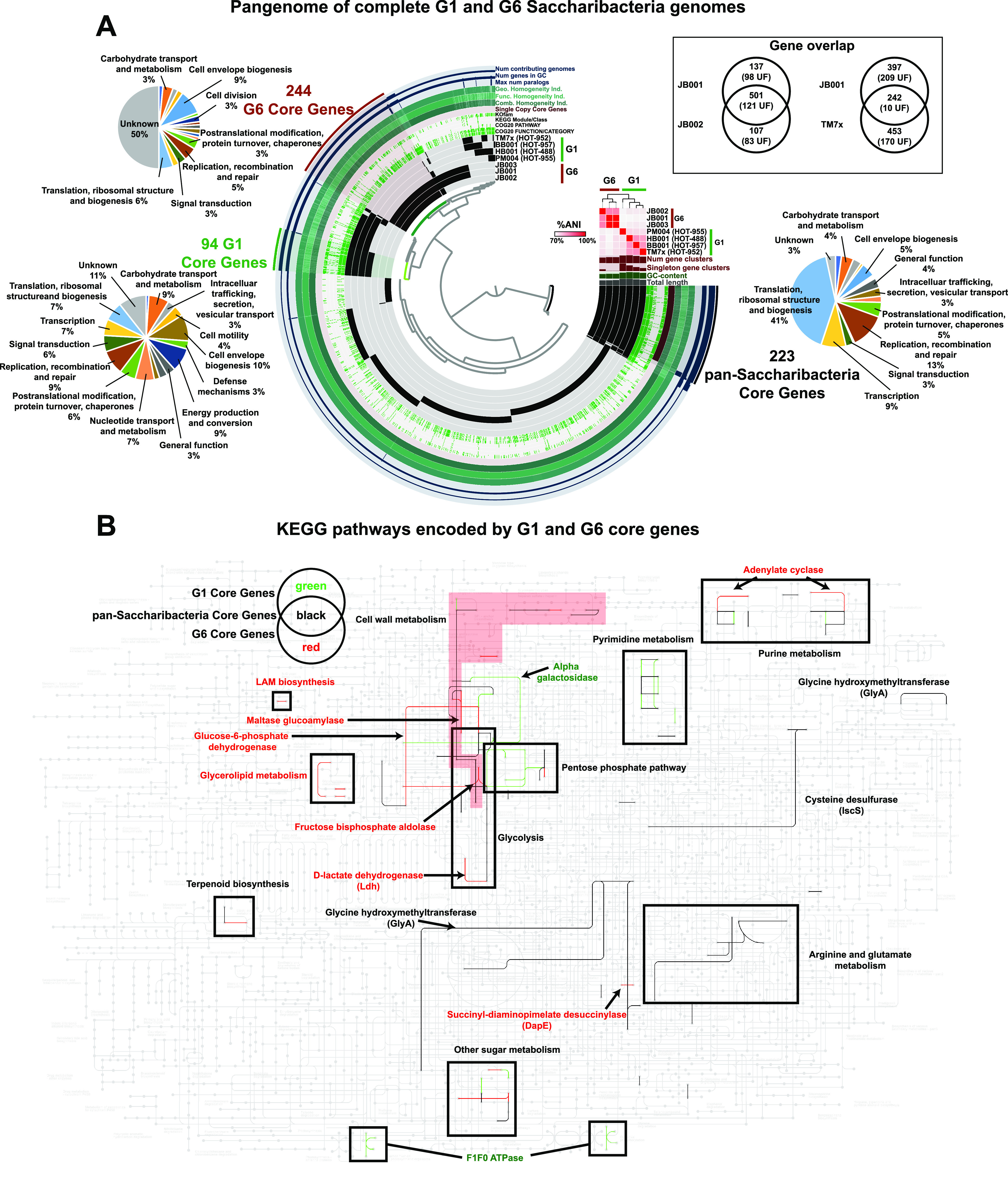 FIG 2