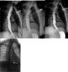 Fig. 10