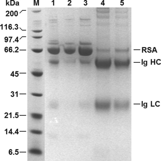 JCTB-5599-FIG-0009-b