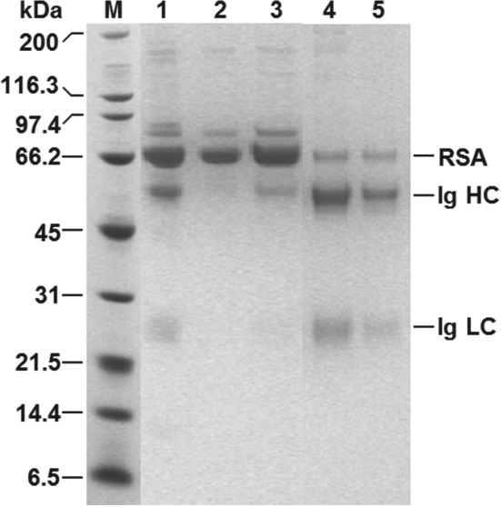 JCTB-5599-FIG-0010-b