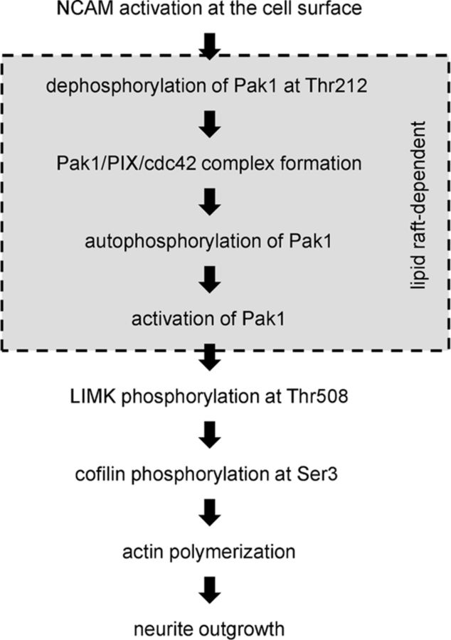 Figure 10.