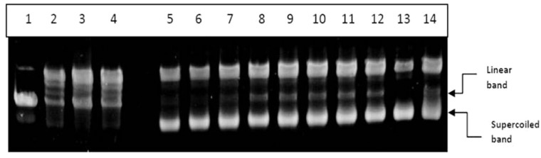 Figure 9