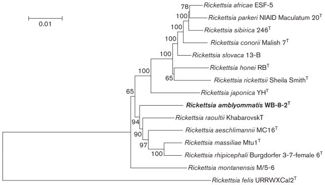 Fig. 2