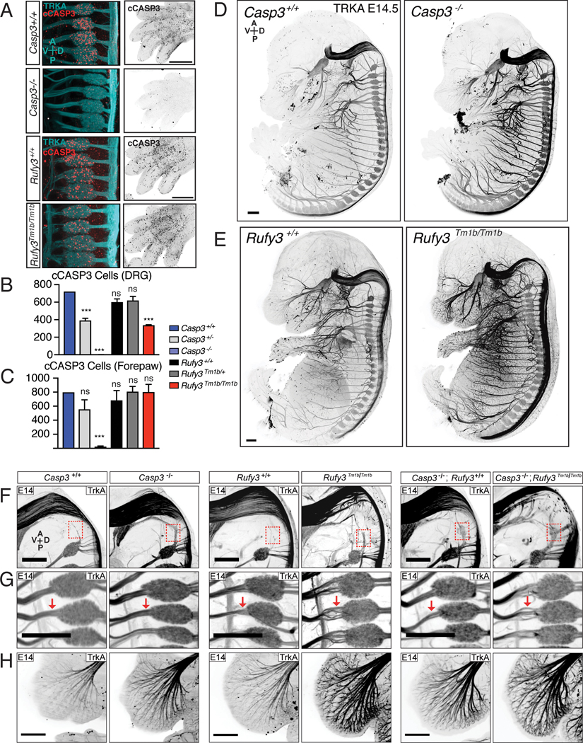 Figure 4 |