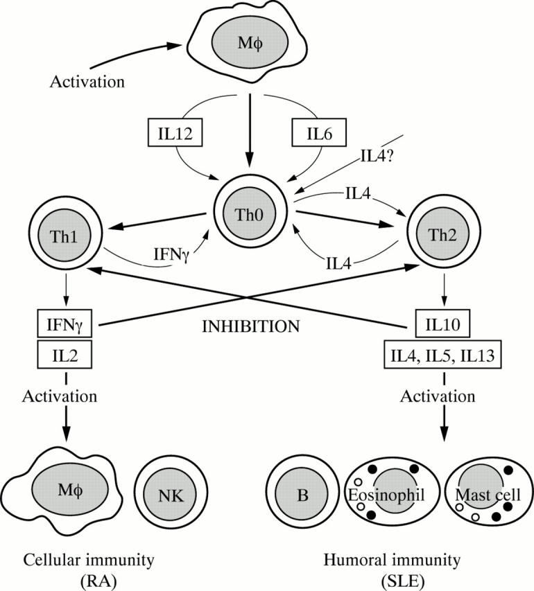 Figure 2  