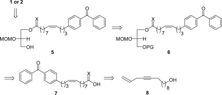 Scheme 1