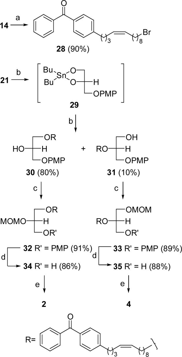 Scheme 5