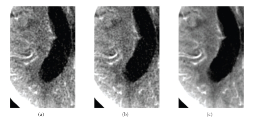 Figure 10