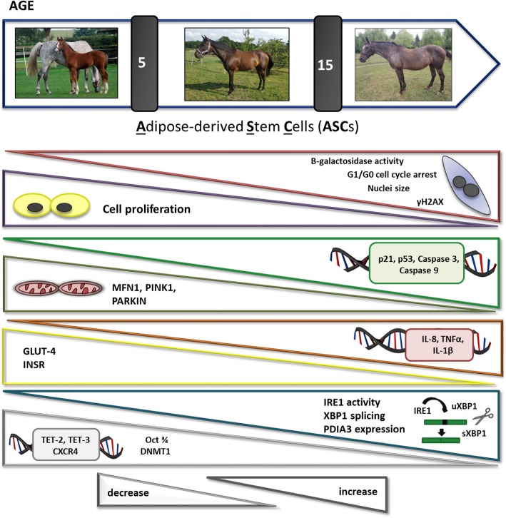 graphic file with name 13287_2019_1512_Figa_HTML.jpg