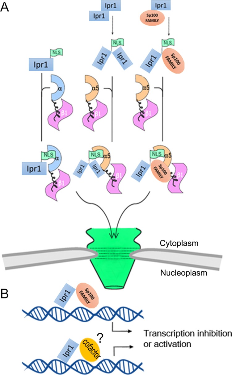 Fig 6