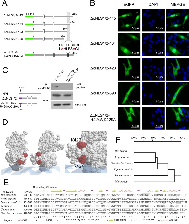 Fig 4