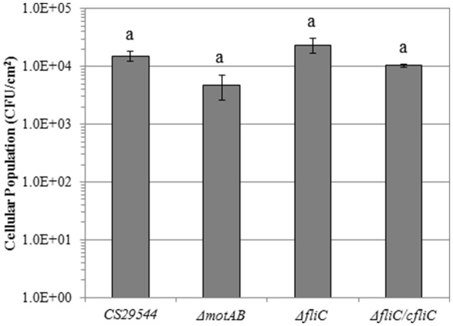 Figure 9