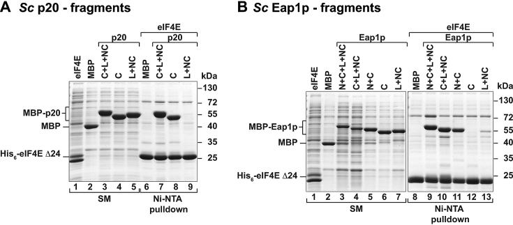 Figure 6.