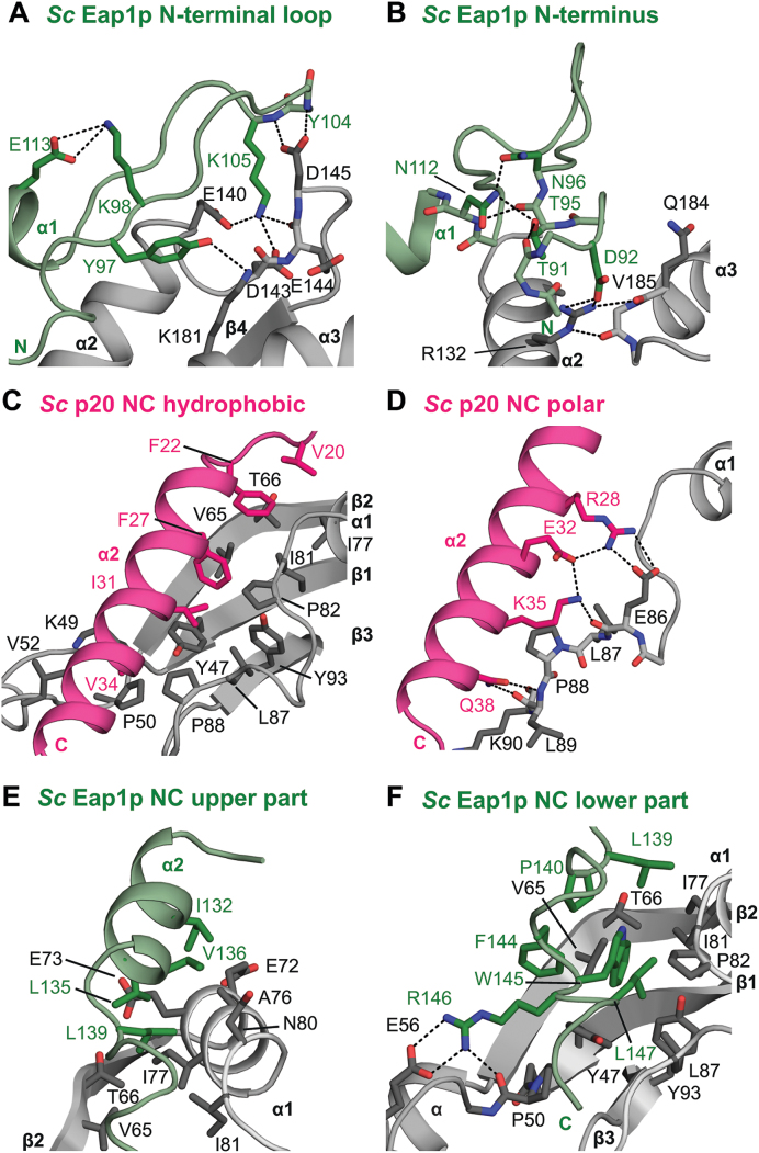 Figure 5.