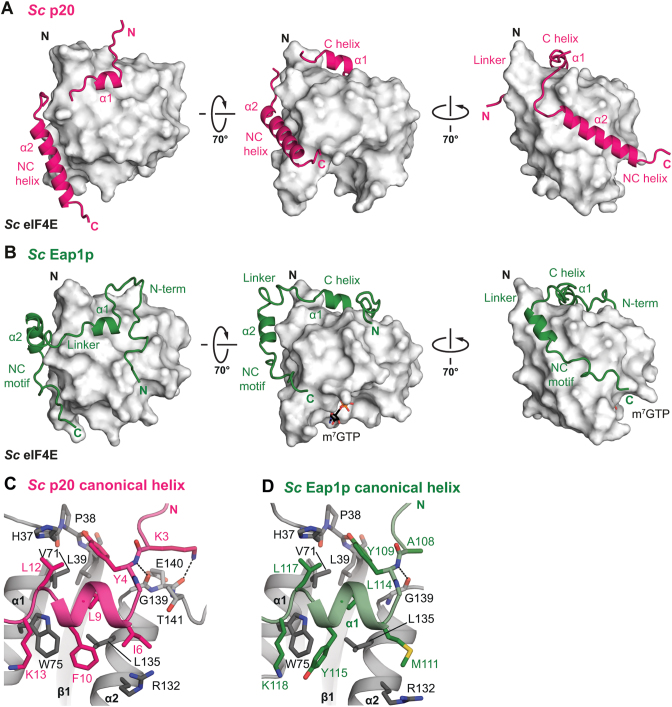 Figure 4.