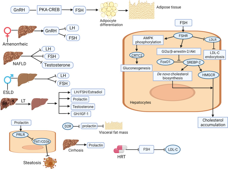 Figure 2