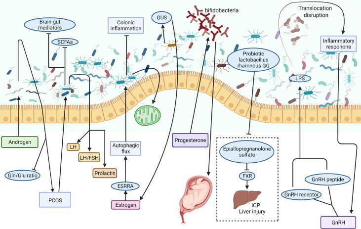 Figure 3