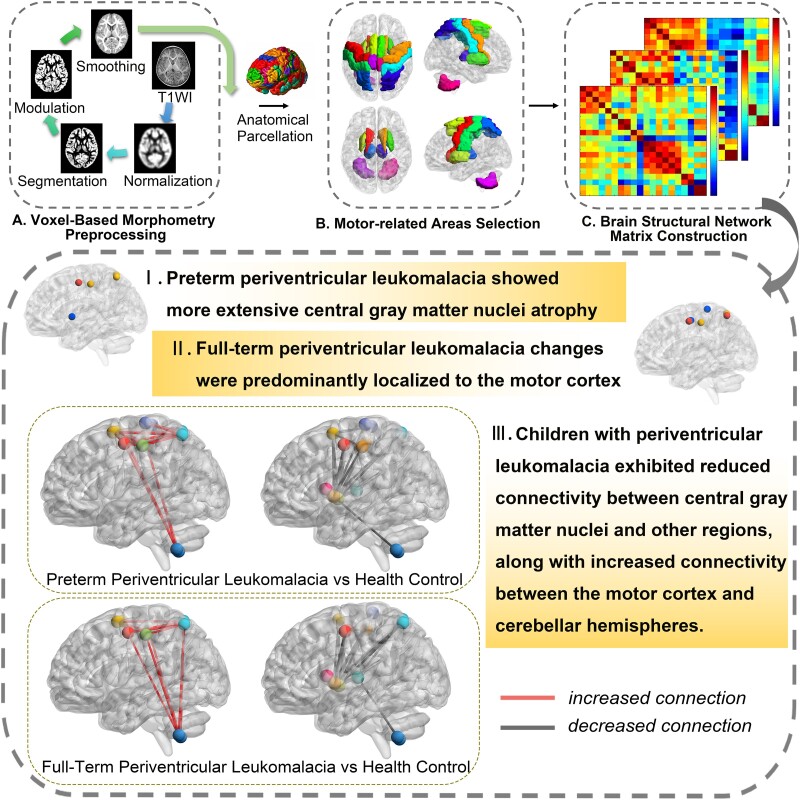 Graphical Abstract