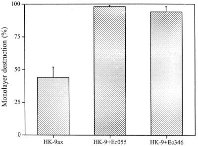 FIG. 1