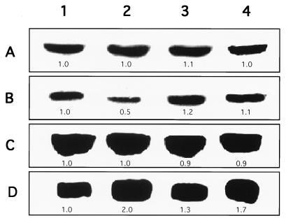 FIG. 7