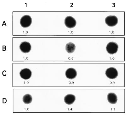 FIG. 6