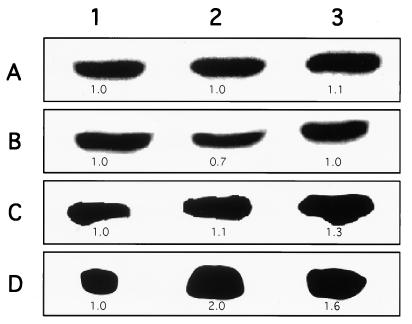 FIG. 8