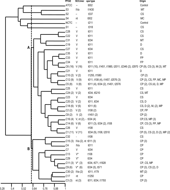 FIG. 2.