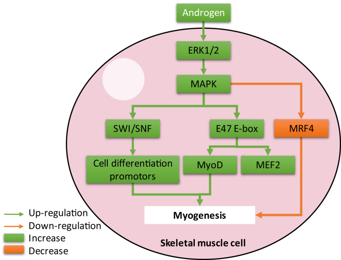 Fig. 2