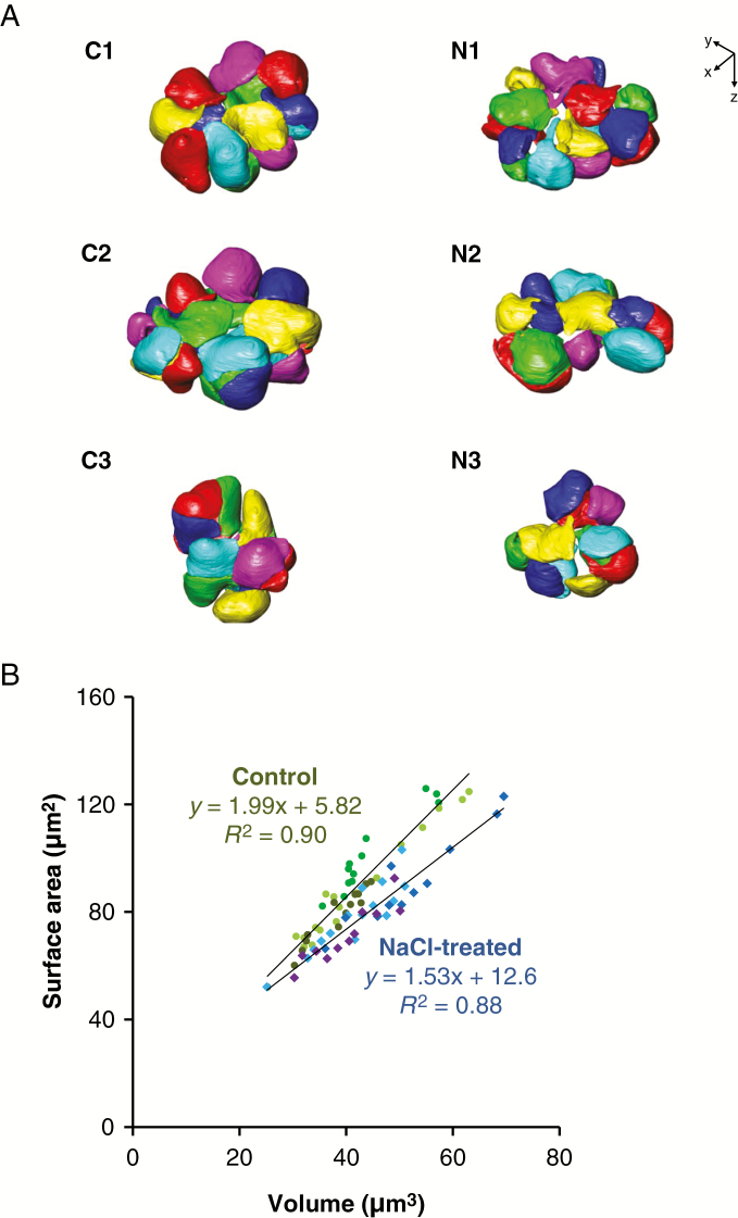 Fig. 4.