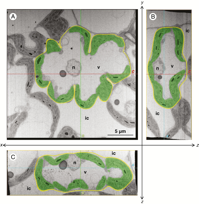 Fig. 1.