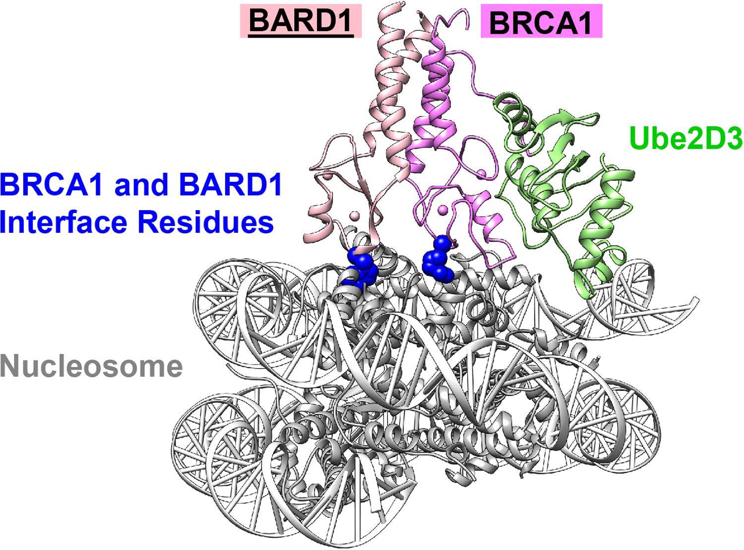 Figure 2: